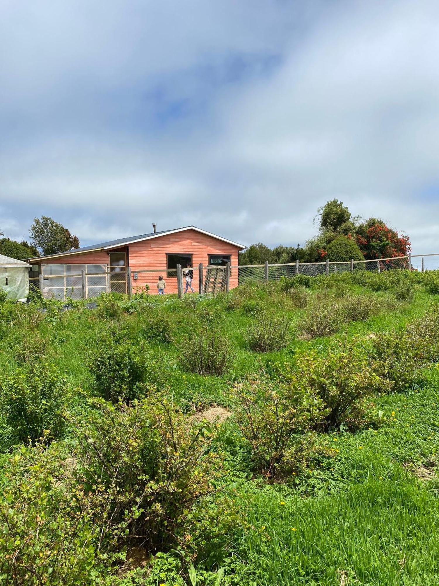 Cabana Nueva En Ancud Chiloe Zimmer foto